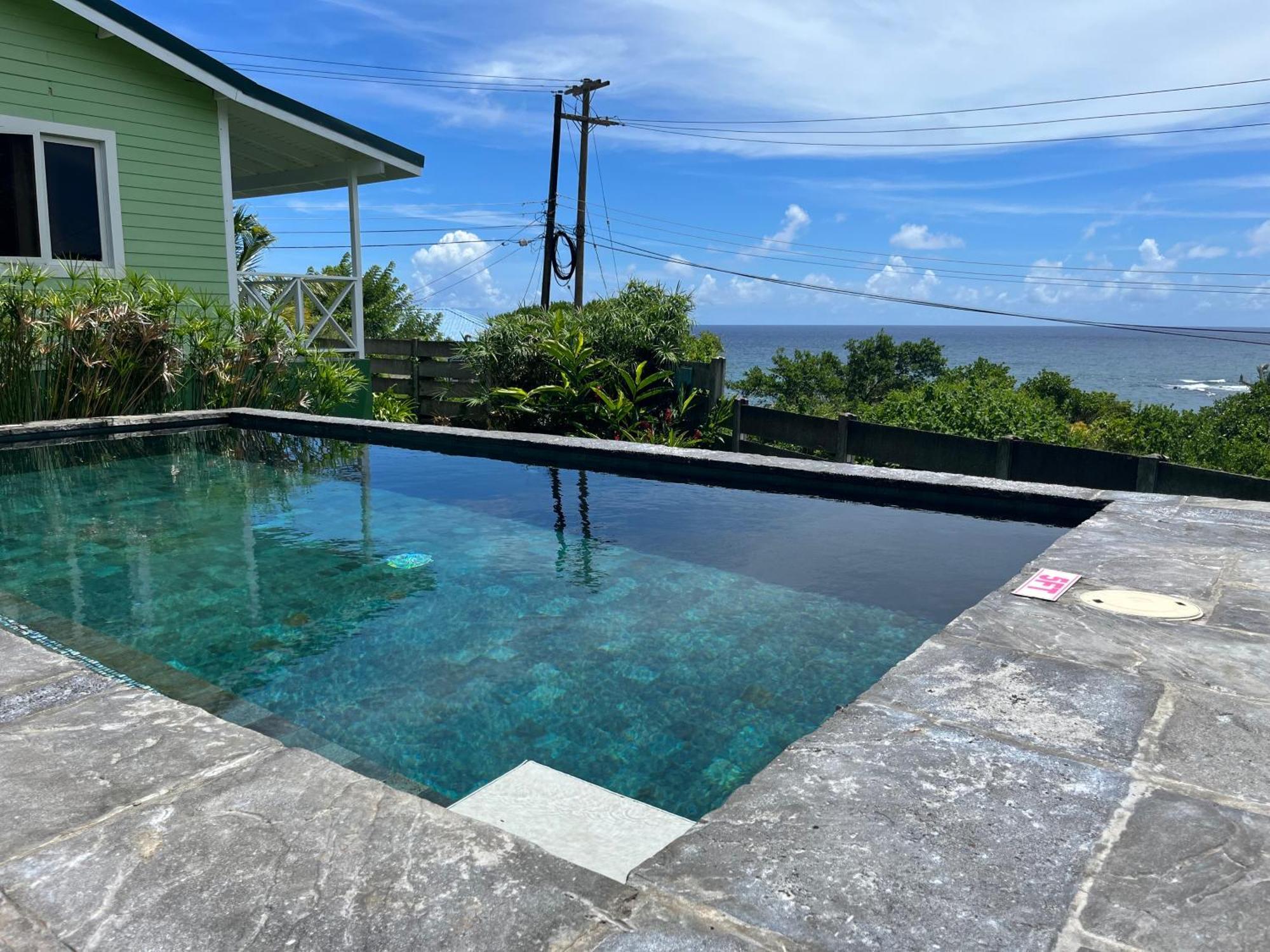 Studio Blu At Waves Villa Guesthouse Brighton Village Екстериор снимка